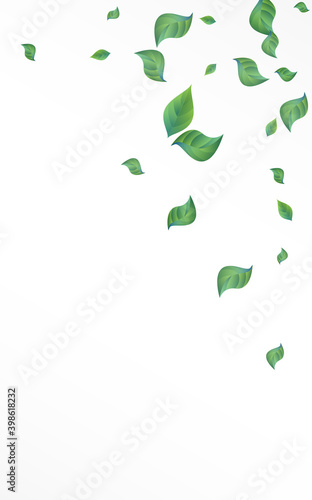 Green Greenery Spring Vector White Background 