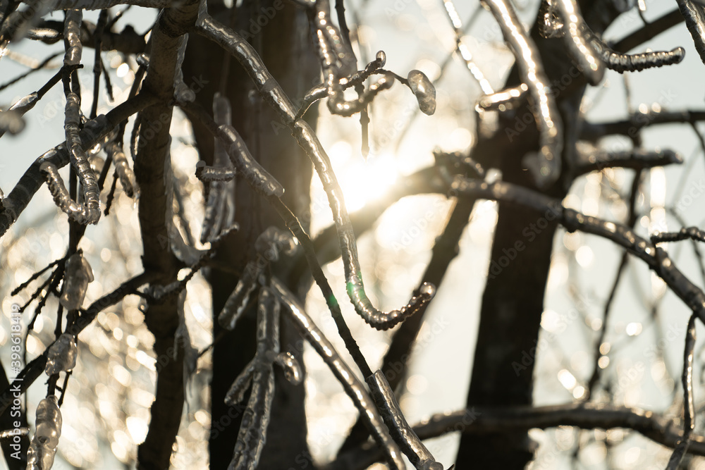 Natural background with ice crystals on plants after an icy rain. Natural background with ice crystals on plants after an icy rain.