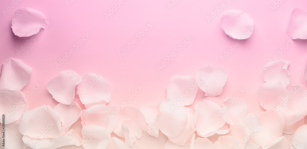 Beautiful rose petals on color background Beautiful rose petals on color background