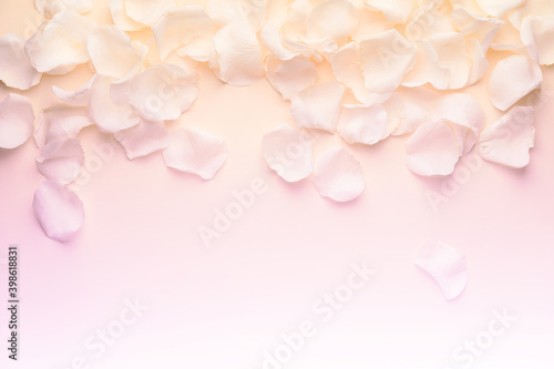 Fototapeta Naklejka Na Ścianę i Meble -  Beautiful rose petals on color background