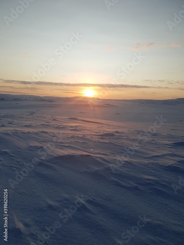 The arctic tundra of norway