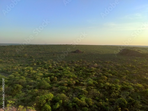 Caatinga vegetation seen from a hill.