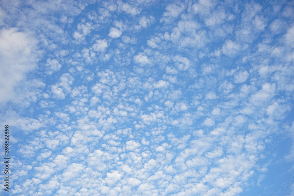Cirrocumulus clouds on blue sky background, autumn sky - 秋のうろこ雲