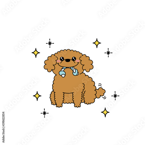 遊んでほしいプードル犬