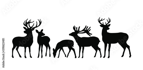 Vector set of black deer stag reindeer with antlers.Outline silhouette stencil drawing illustration isolated on white background .Sticker.T shirt print.Plotter Cutting. Laser cut. Christmas decoration