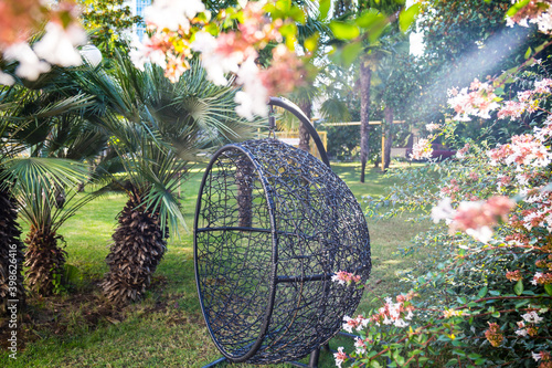 Beautiful garden with suspention chair summer view. photo