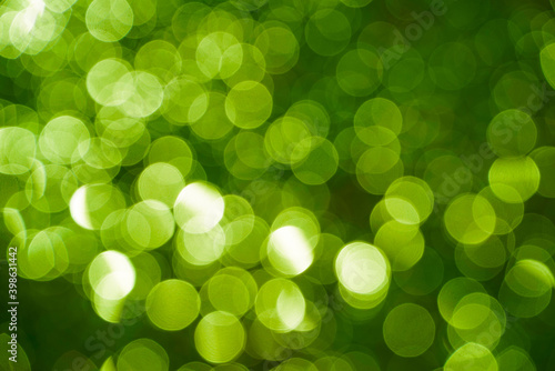 green bokhe,bokeh on nature abstract blur background green bokeh from tree ,Sunny green nature background, green blurred bokeh nature background