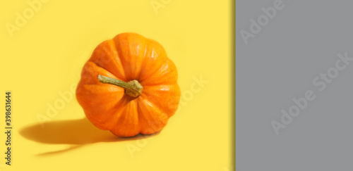Pumpkin on yellow color of the year 2021 and gray background. High quality photo