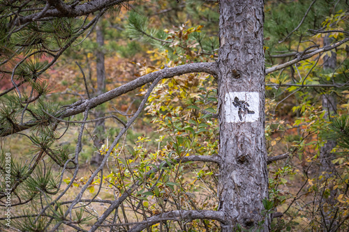 Hiking route sign on a tree in the forest of Vonyarcvashegy, Hungary