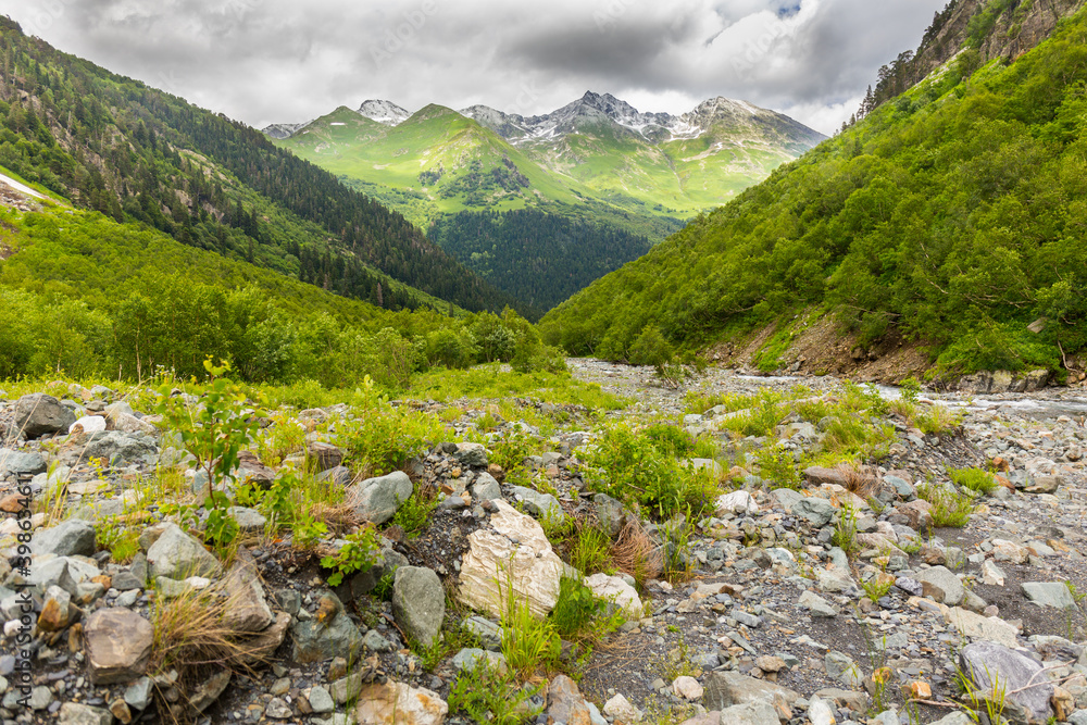 Obraz premium Beautiful mountain landscape with forest at Caucasus mountains.