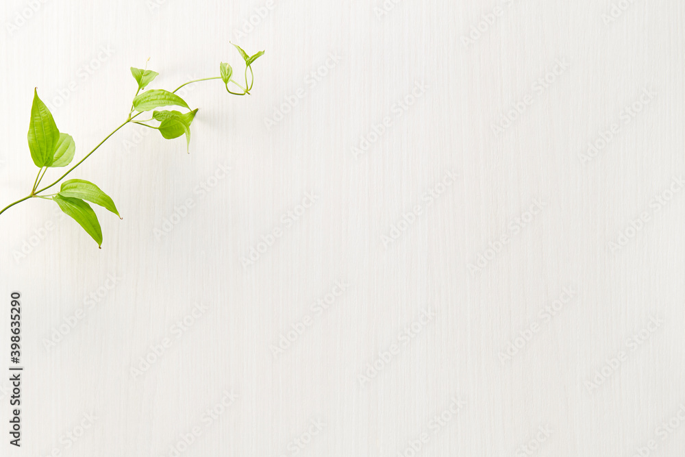 ナチュラルな植物の木目背景