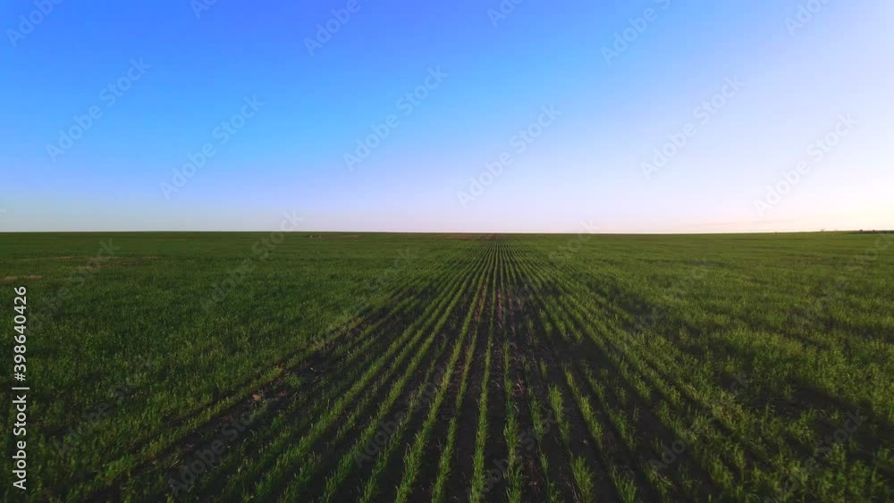 Agricultural Farm Land Patterns of Cultivated Ground for Crops, Aerial Agricultural Farm Land Patterns of Cultivated Ground for Crops, Aerial