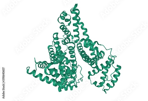 Structure of human albumin, 3D cartoon model isolated, white background photo