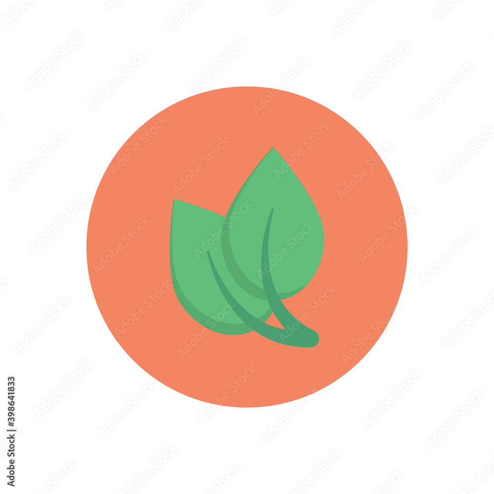 leaf leaf