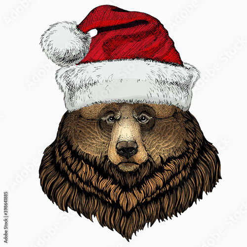 Bear wild animal face. Christmas red Santa Claus hat. Christmas winter animal vector portrait.