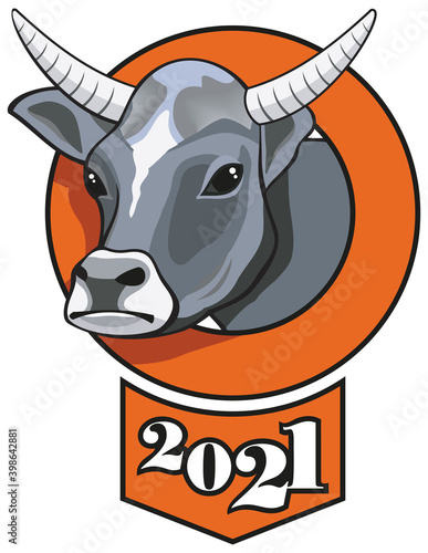 White bull, symbol of the year, vector illustration