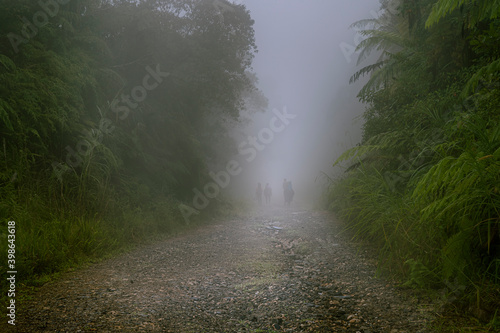 Hikers on a misty trail