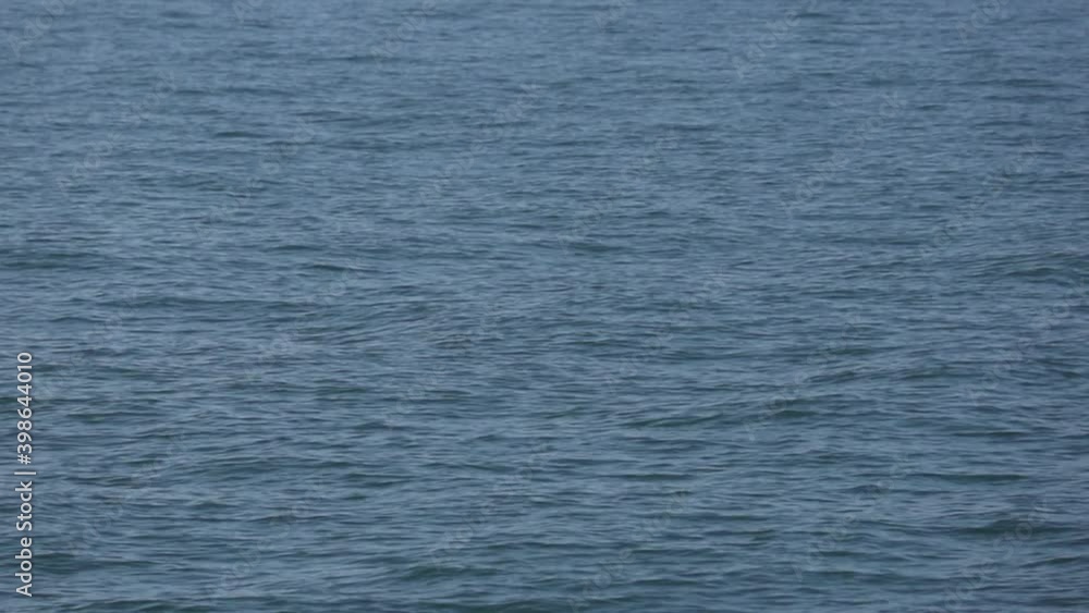 穏やかな海面と航海中の大きな貨物船の風景