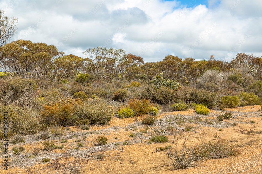 beautiful Landscape east of Hoeptoun in Western Australia