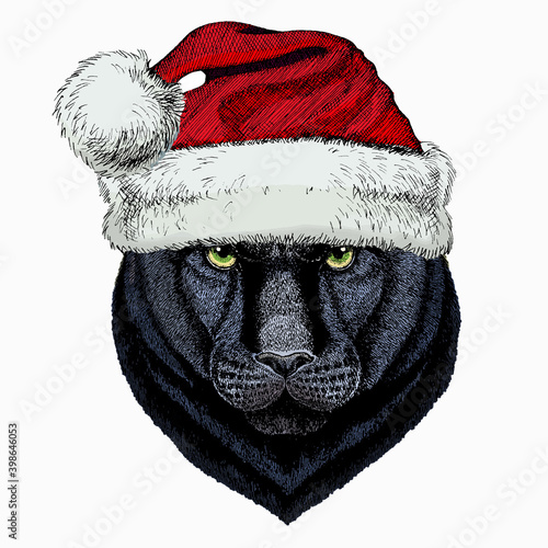 Black panther. Christmas red Santa Claus hat. Wild cat portrait.