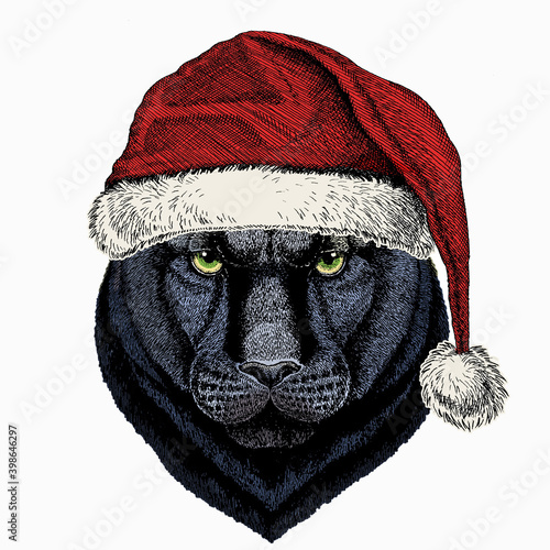 Black panther. Christmas red Santa Claus hat. Wild cat portrait. photo