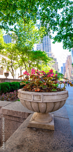 NEW YORK CITY - JUNE 2013: Beautiful view of Bryant Park in Manhattan