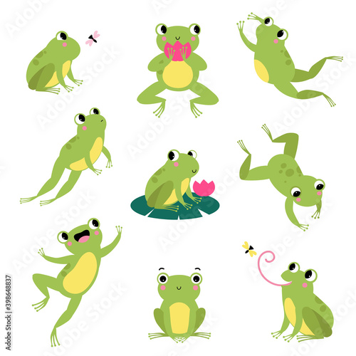 Cute Green Frog Jumping, Sitting on Leaf and Catching Fly Vector Set