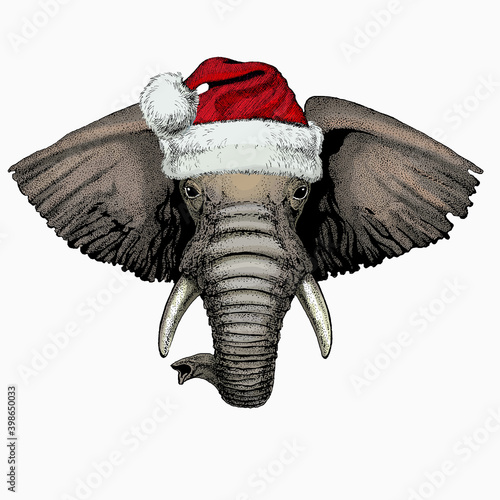 African elephant vector portrait. Christmas red Santa Claus hat. Animal face, head.