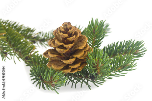 Green branches of a Christmas tree and cones isolated on a white background.