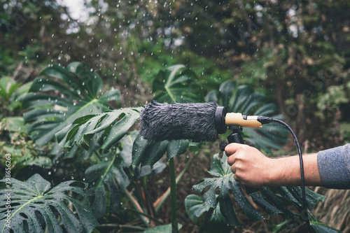 Hand holds a microphone gun to record sounds of nature. Rain sound recording