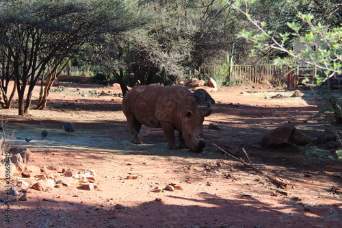 Photos Taken in Pretoria Zoo, South Africa.