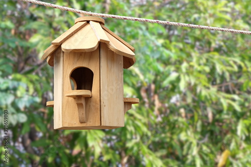 A bird house decorated in a garden makes our backyard beautiful. And there are birds creating a fresh atmosphere in the backyard.