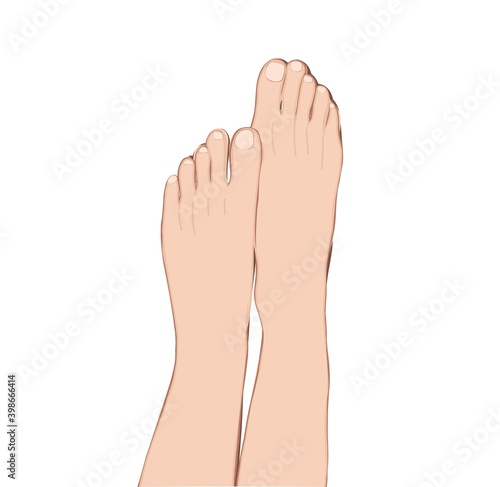 Female legs on soft background. Vector, illustration. Hygiene home vector