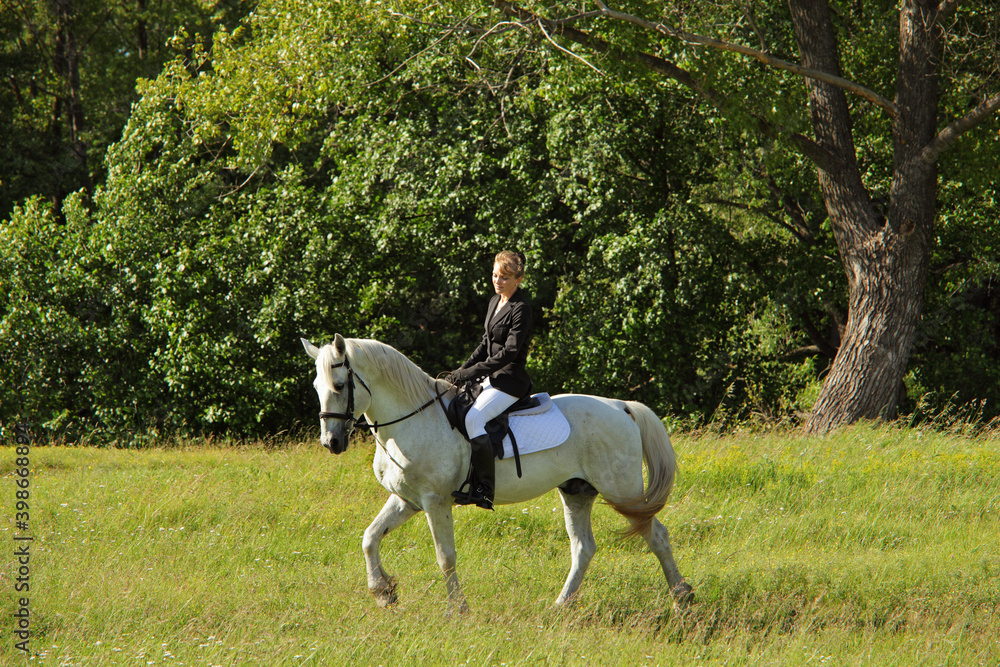 Equestrian girl in english riding clothes galloping white dressage horse