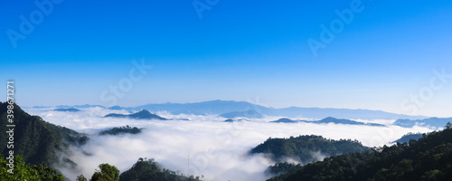 Fotografie sea of ​​fog