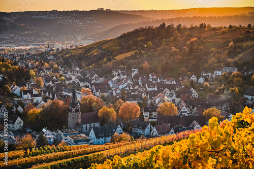 Beautiful vineyard landscape with a village surrounded by colorful vineyards during autumn. A historic church is in the center of the village. the scenery is illuminated by golden sunlight.