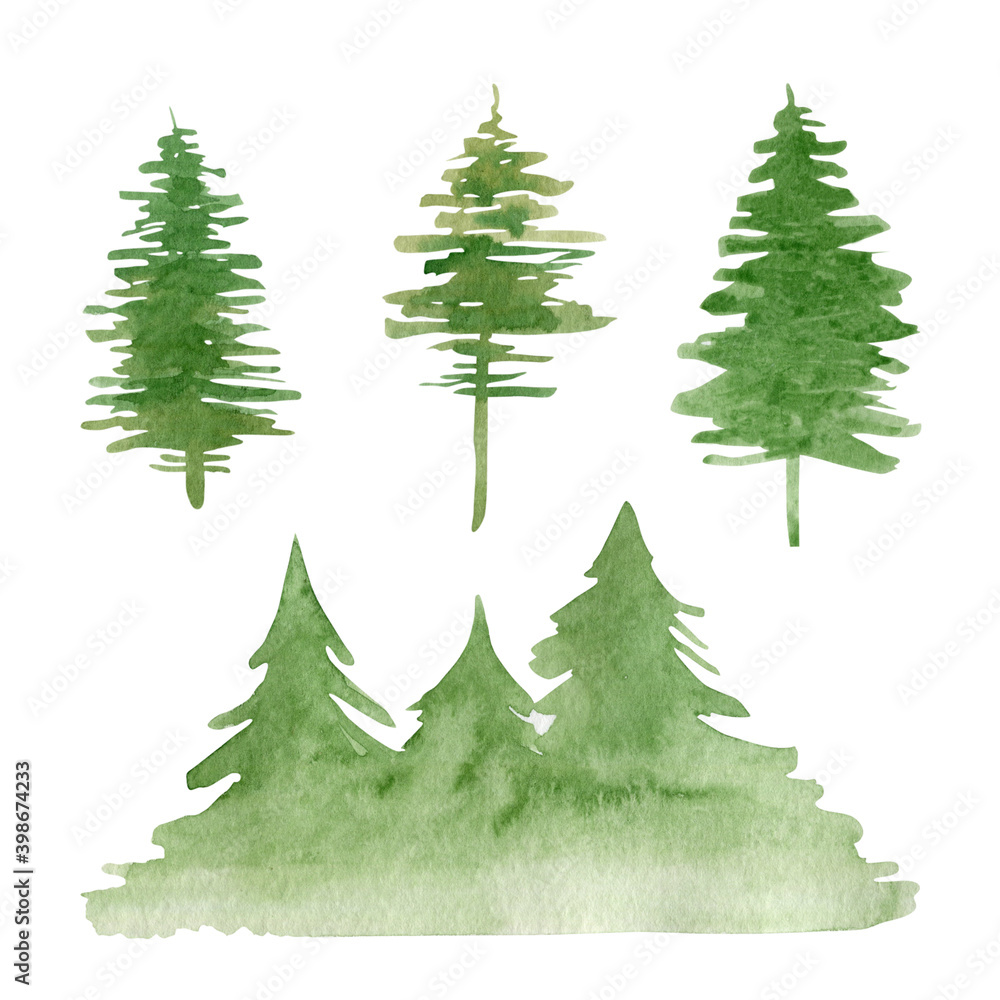Watercolor green fir trees isolated on white background.