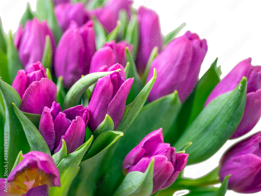 Bouquet of yellow tulips