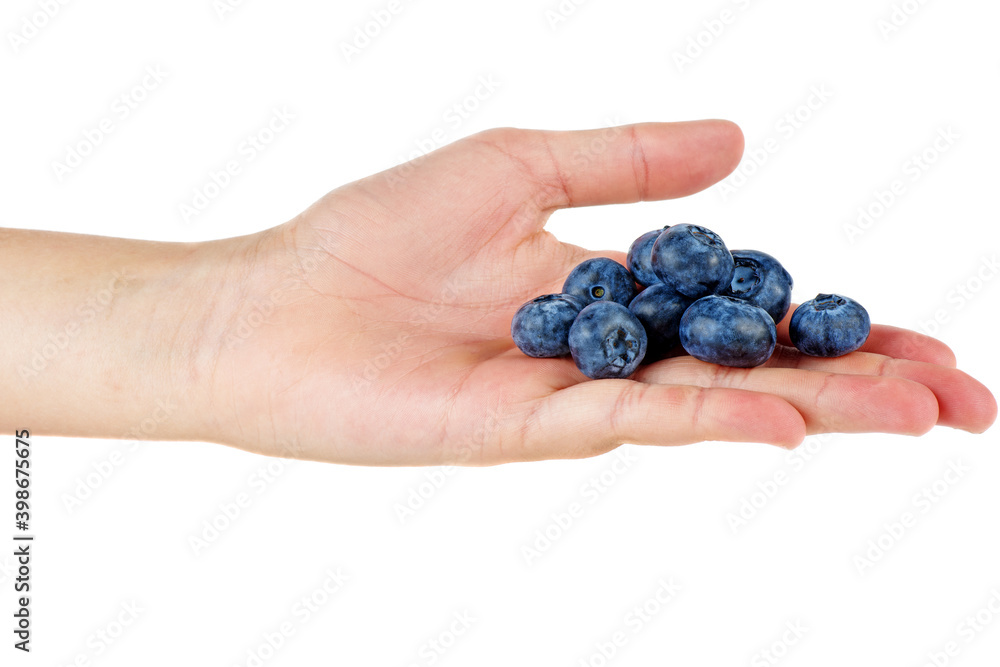 Hand hold some blueberries isolated on white background Hand hold some blueberries isolated on white background