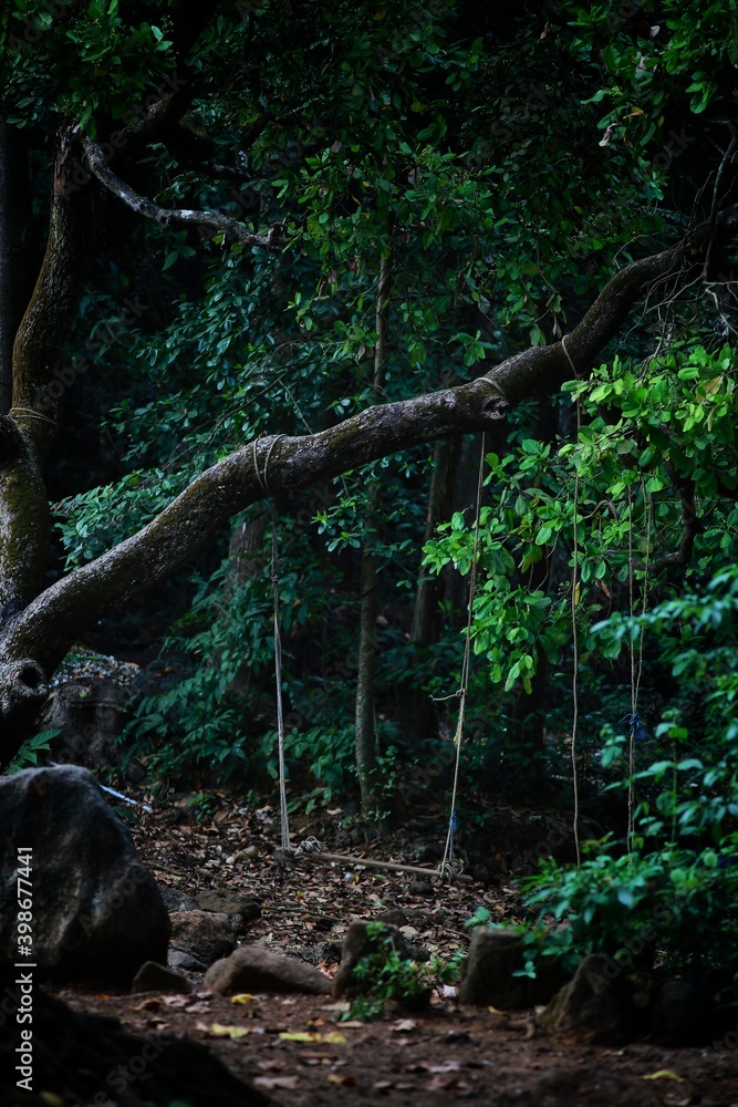 Fototapeta premium Old swing in the woods