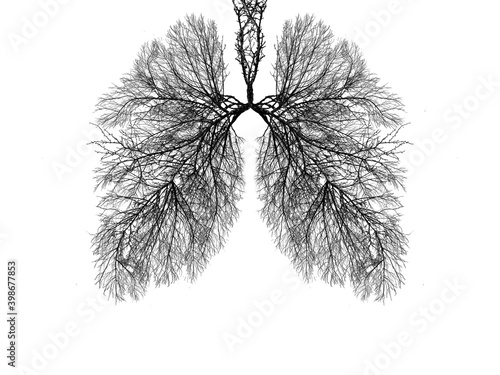 Abstract silhouette of lungs on a white background . Trees are the lungs of the planet. Air purification. Ecological concept. Tree branch. The concept of pneumonia and bronchitis. photo