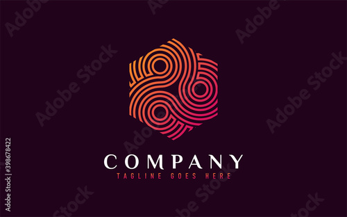 Colorful Hexagon Logo Design with Abstract Lines Shapes Inside. Usable For Business, Community, Industrial, Foundation, Services Company. Flat Vector Logo Design Illustration.