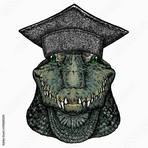 Crocodile head. Square academic cap, graduate cap, cap, mortarboard. Alligator portrait. African wild animal.