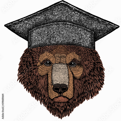Bear wild animal face. Square academic cap, graduate cap, cap, mortarboard. Grizzly cute brown bear head portrait.