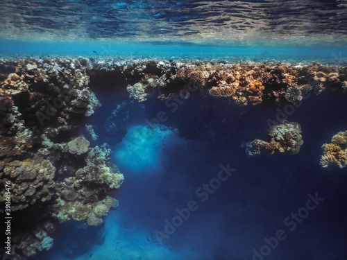 cave in blue water in de deep over corals with view to the surface