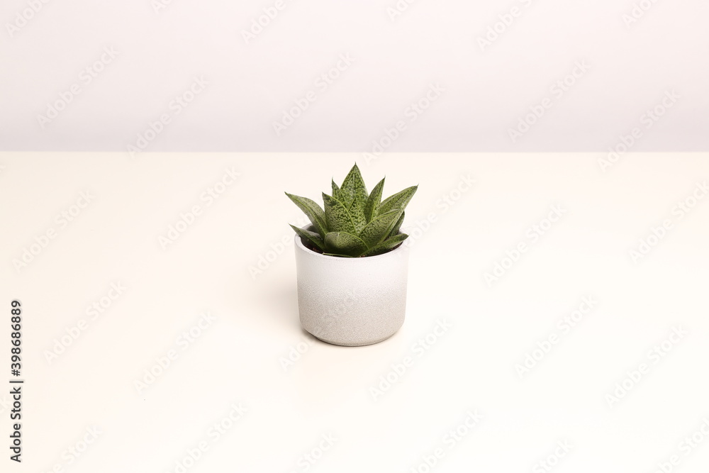 deskplant