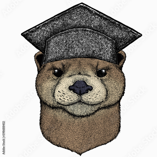 Vector portrait of otter. Square academic cap, graduate cap, cap, mortarboard. Head of wild animal.