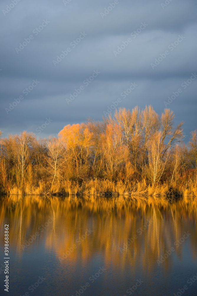 Orange foliage reflected in a quiet lake in Burgenland Orange foliage reflected in a quiet lake in Burgenland