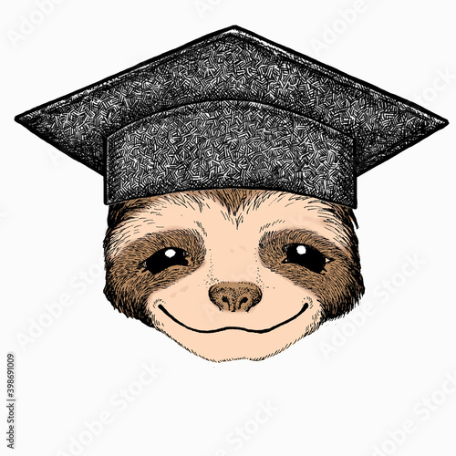 Smiling sloth face, vector portrait of sloth. Square academic cap, graduate cap, cap, mortarboard. Animal portrait
