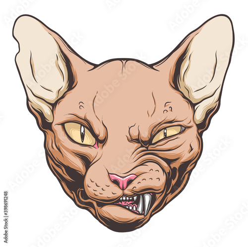 Angry cat portrait on the white background. Vector drawing. 